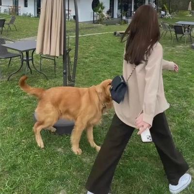 菲洲猎艳记
